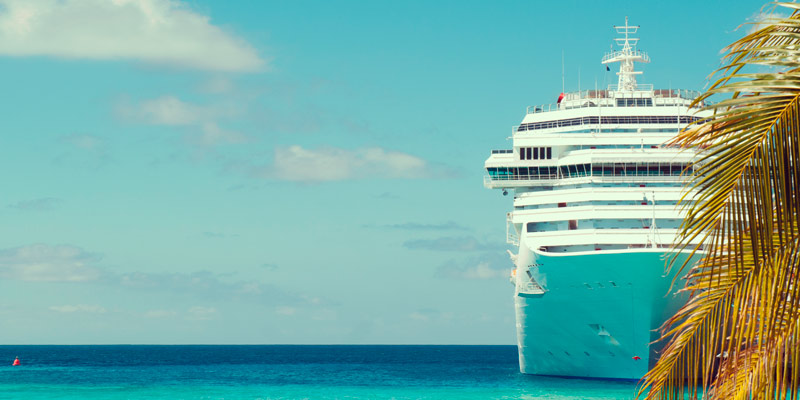 cruise-ship-behind-palm