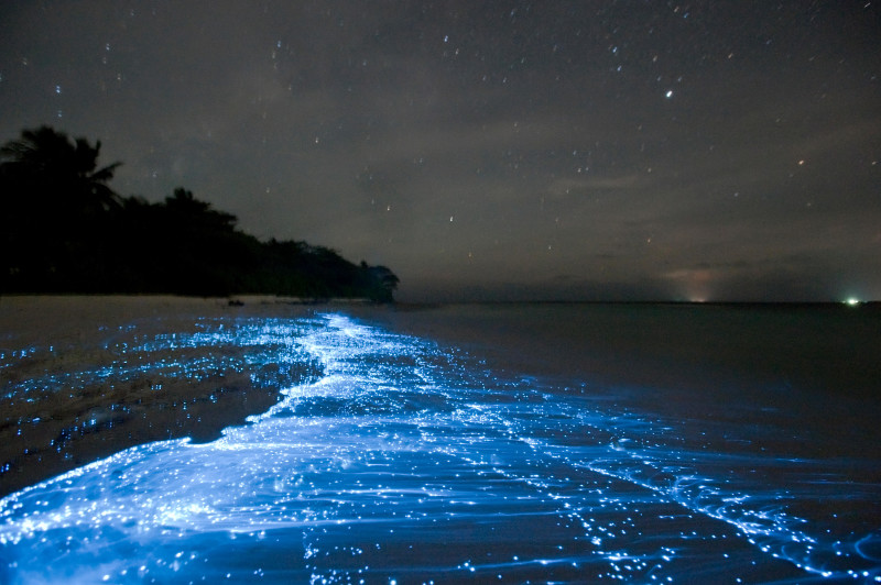 E461EB Bioluminescence from glowing plankton in sea tide line on beach, with stars above and ship lights on horizon, Vaadhoo Island, Raa Atoll, Maldives, Indian Ocean, October 2010
