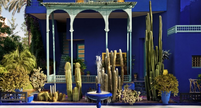blue-building-and-cactus-in-marrakech-morocco